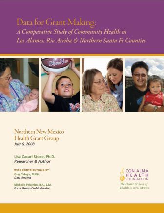 2008 NNMHGG Data for Grantmaking Summary