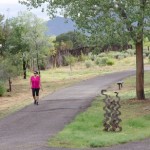 Healthy People, Healthy Places Grantees