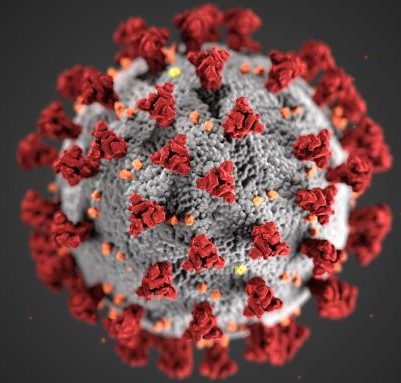 Con Alma’s COVID-19 Response