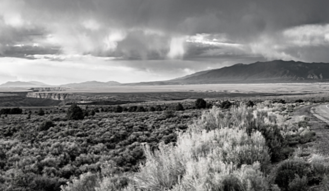 Welcoming Change: Improving Our Grantmaking