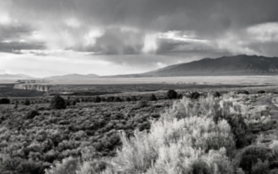 Welcoming Change: Improving Our Grantmaking