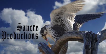 Multi-Year Grantee Videos