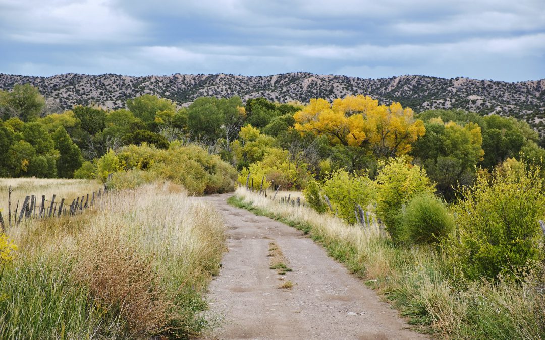 2022 Northern New Mexico Health Grants Group Grant Recipients