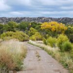 2022 Northern New Mexico Health Grants Group Grant Recipients