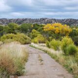 2022 Northern New Mexico Health Grants Group Grant Recipients