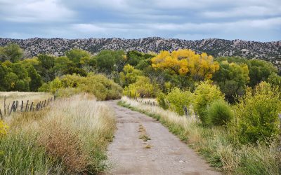 2022 Northern New Mexico Health Grants Group Grant Recipients