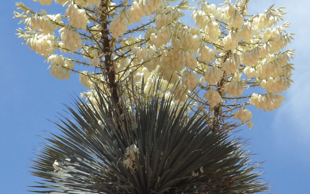 2023 Grant Recipients