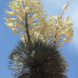 2023 Grant Recipients