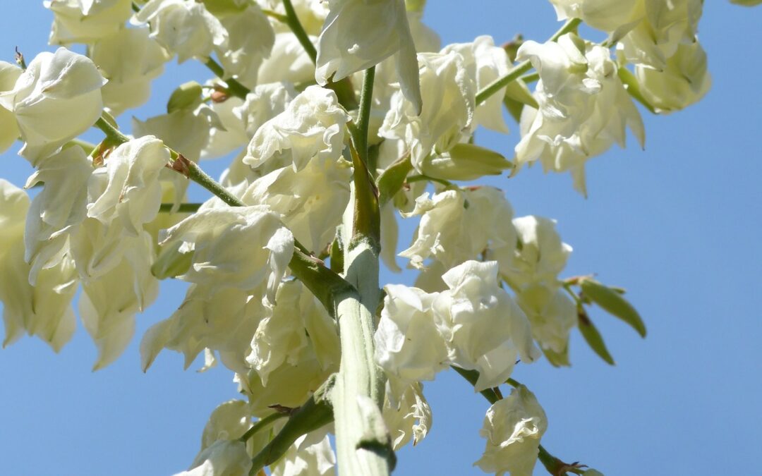 2022 Technical Assistance Grants