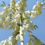 2022 Technical Assistance Grants