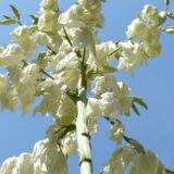 2022 Technical Assistance Grants