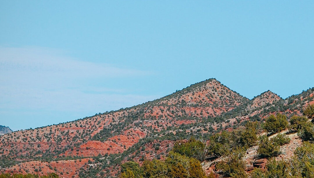 2021 Grant Recipients