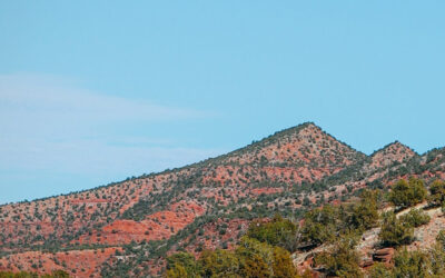 2021 Grant Recipients