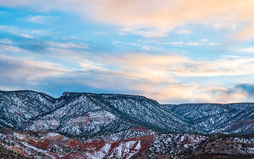 MacKenzie Scott’s Generous Gift to Con Alma Health Foundation